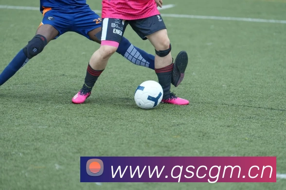 爱体育电子官方网站APP 封面图